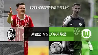 沃尔夫斯堡足球俱乐部最近状态 沃尔夫斯堡足球俱乐部最近状态